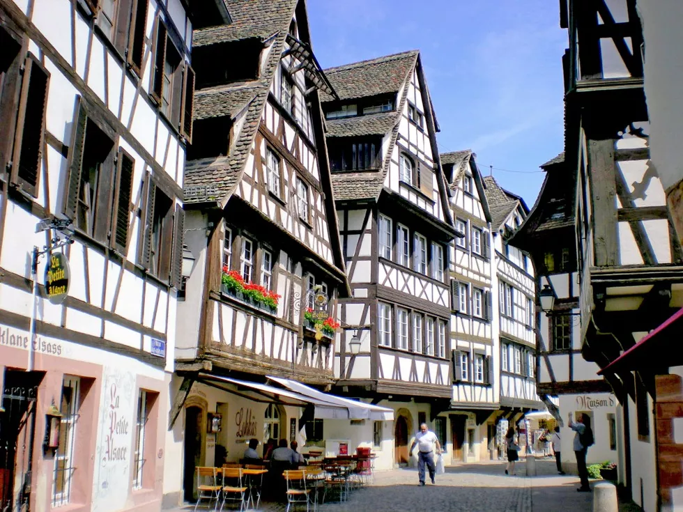 travel program image