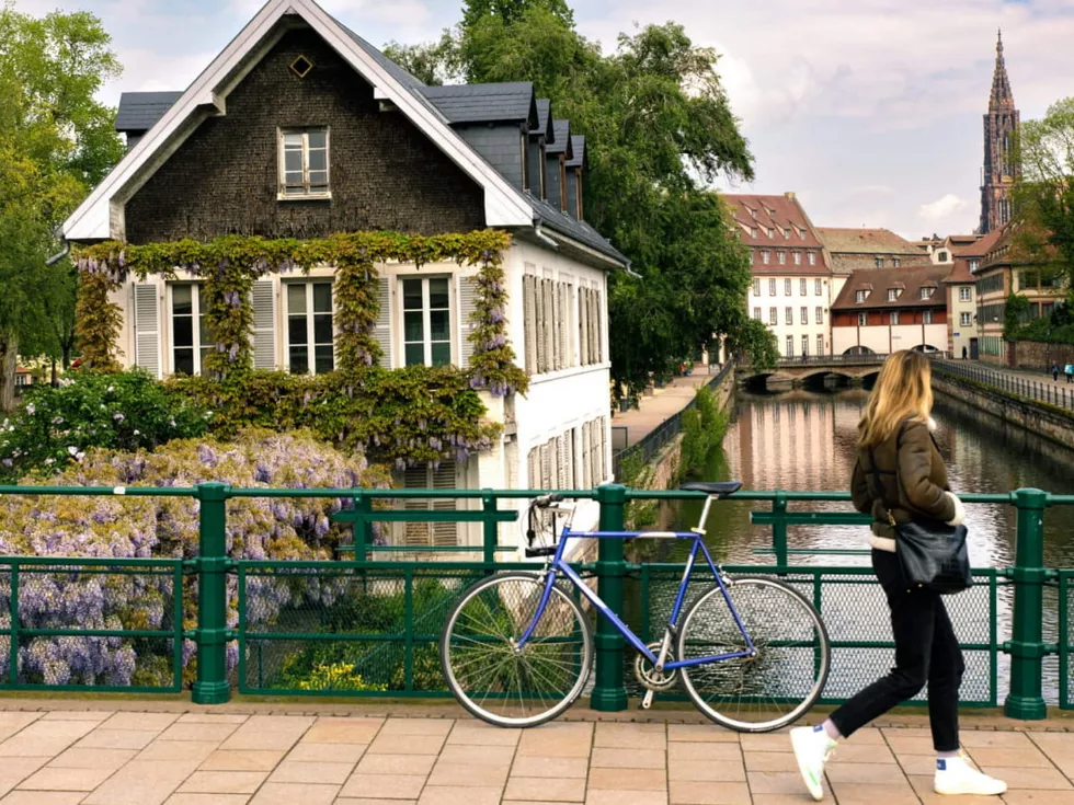travel program image
