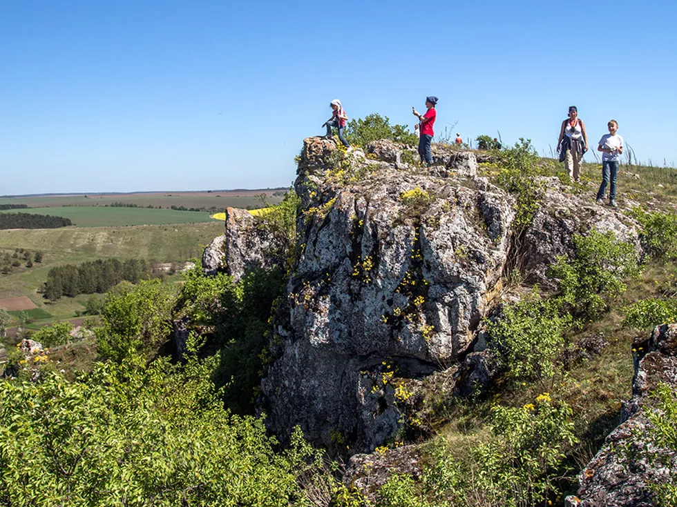 travel program image
