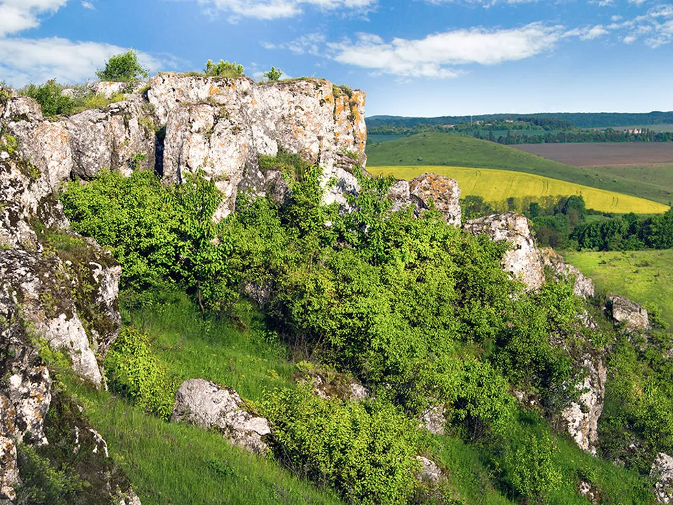 travel program image