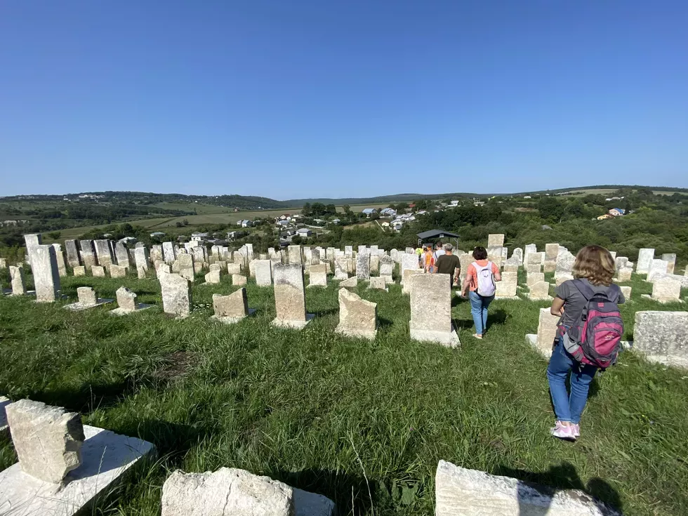 travel program image