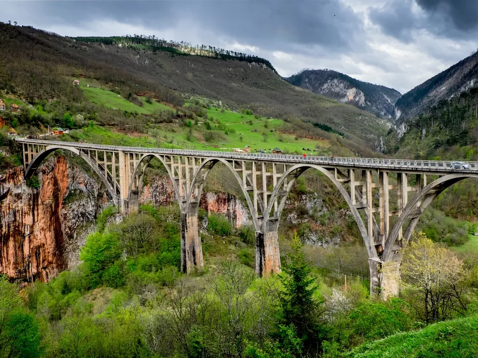 travel program image