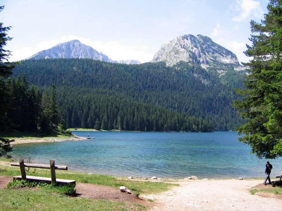travel program image