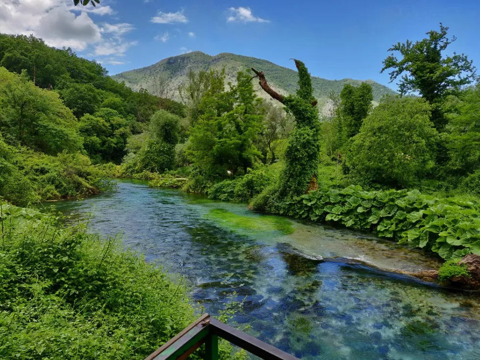 travel program image
