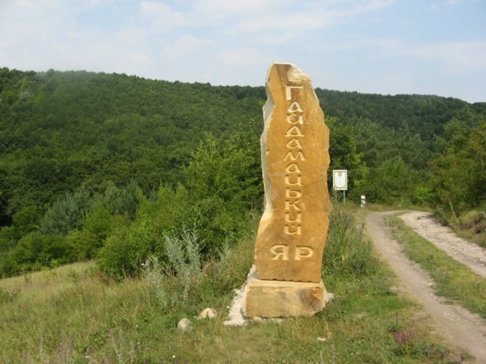 travel program image