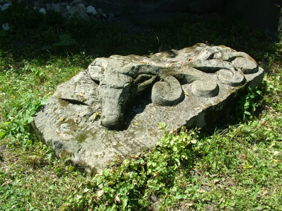 travel program image