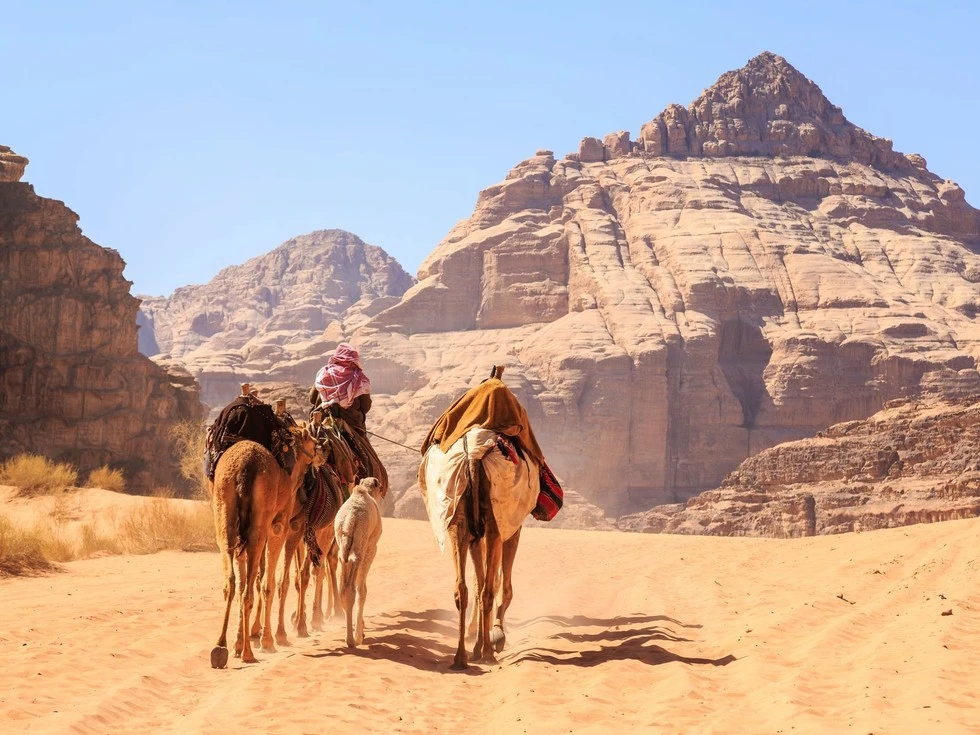 travel program image