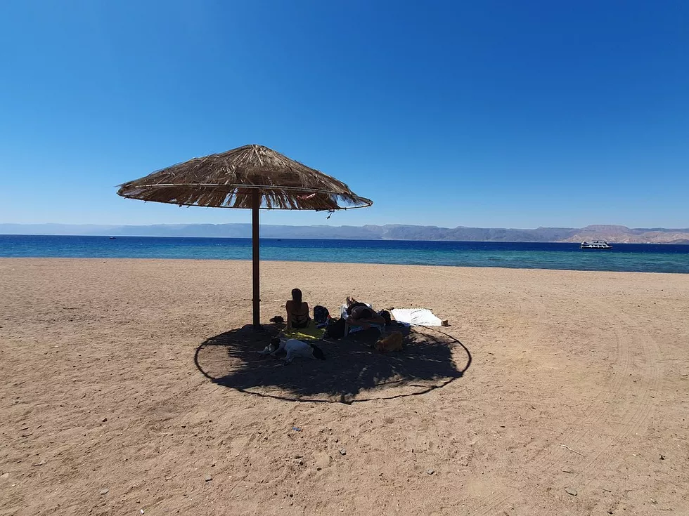 travel program image
