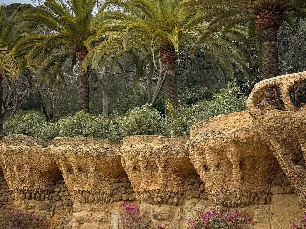 travel program image