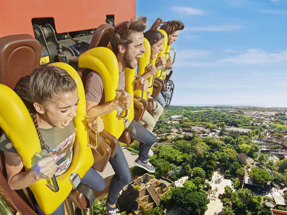 travel program image