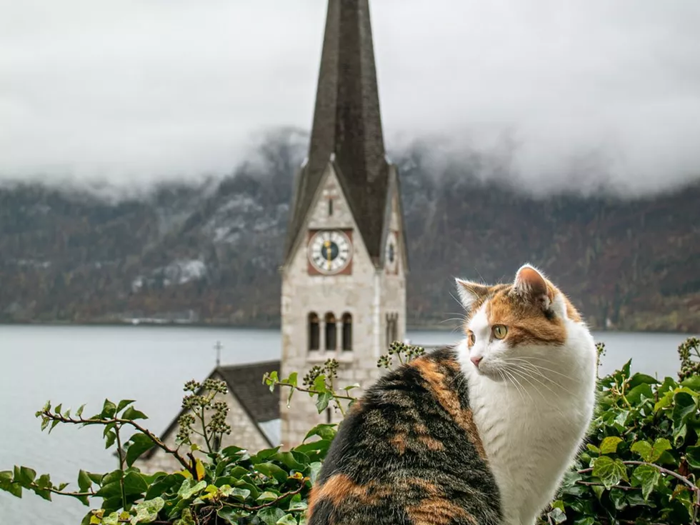 travel program image