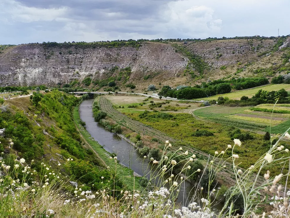 travel program image