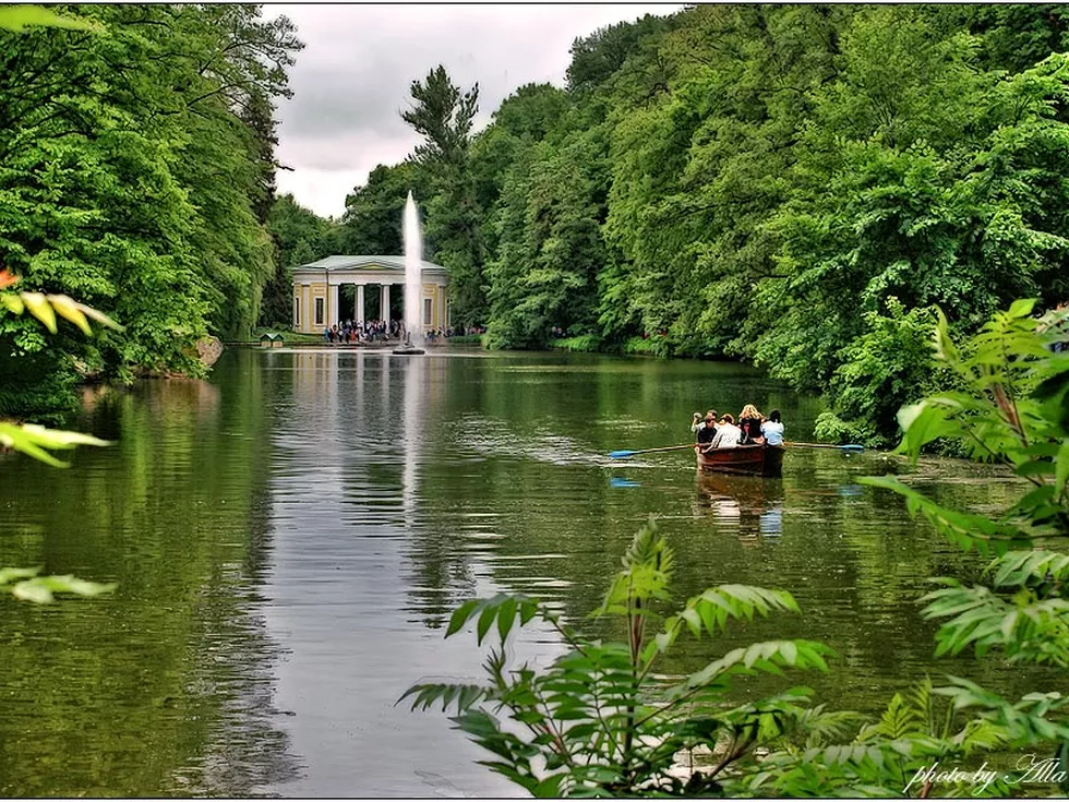travel program image