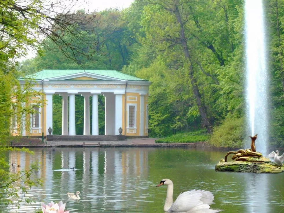 travel program image
