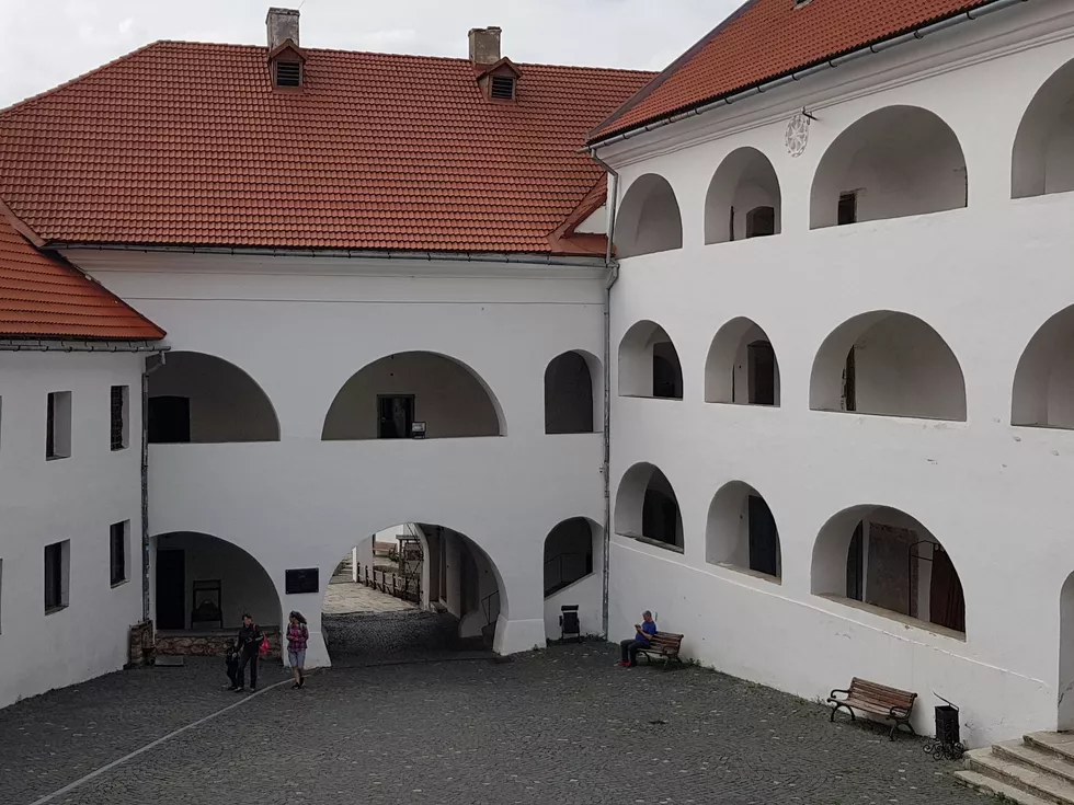 travel program image