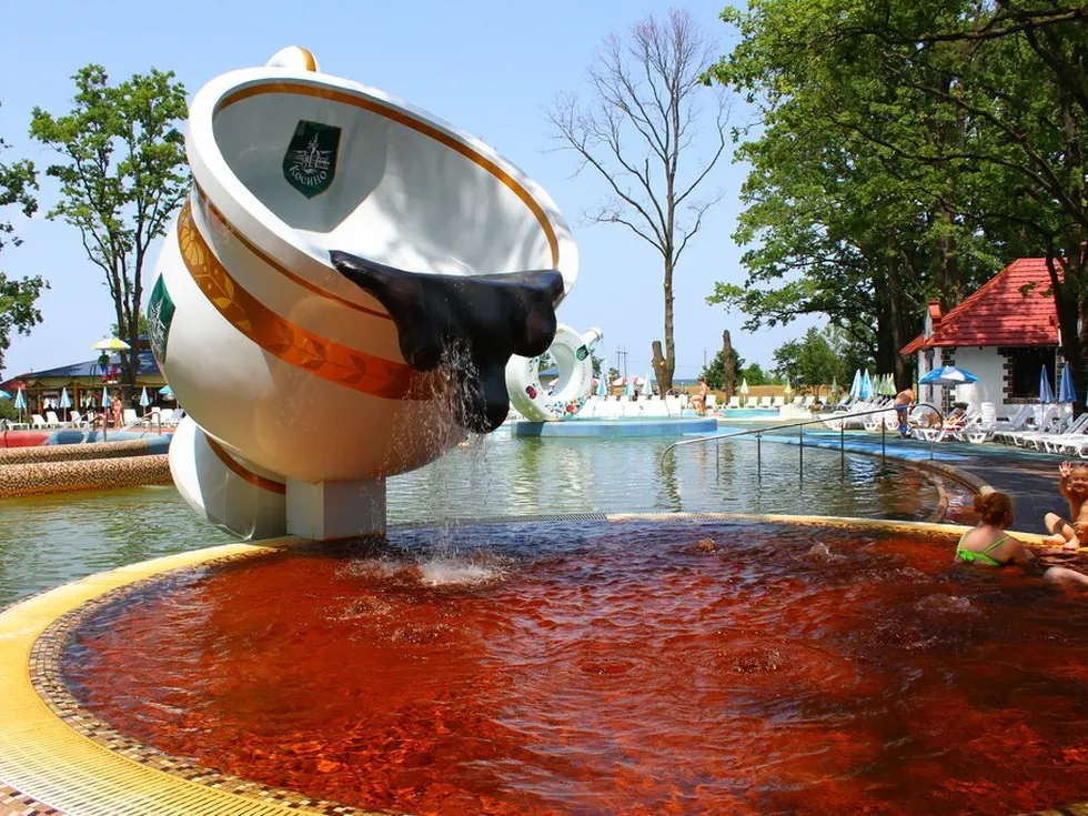 travel program image