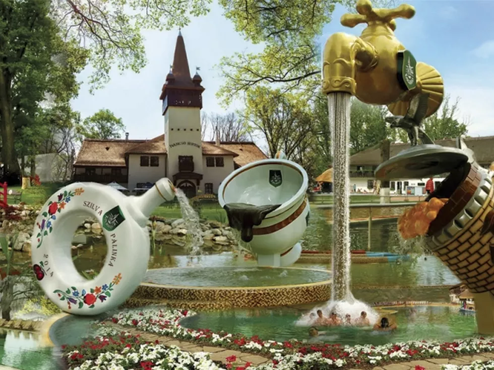 travel program image