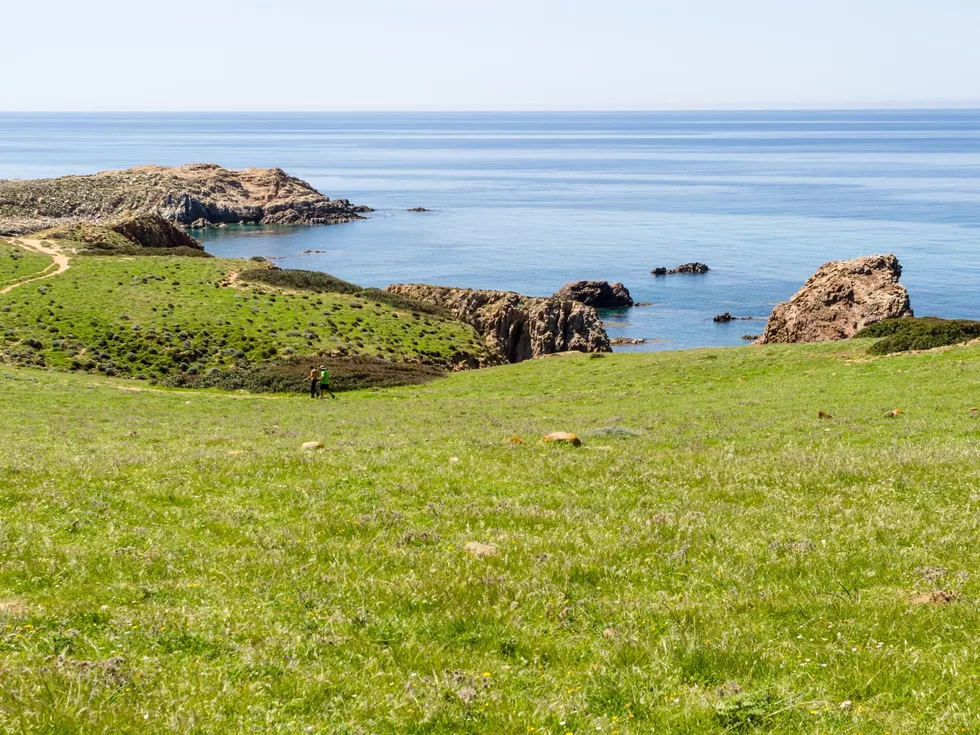 travel program image