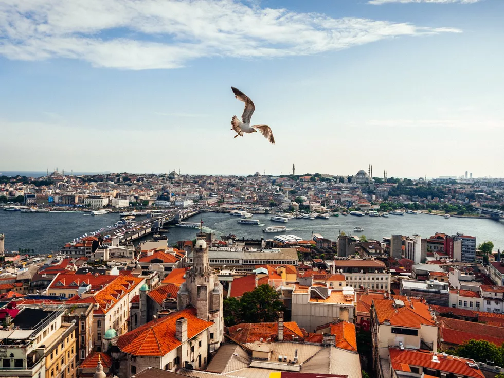 travel program image