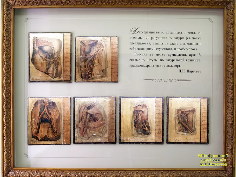 travel program image