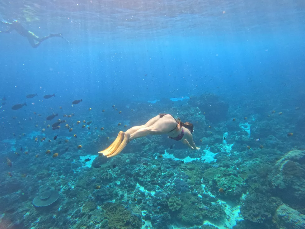 travel program image