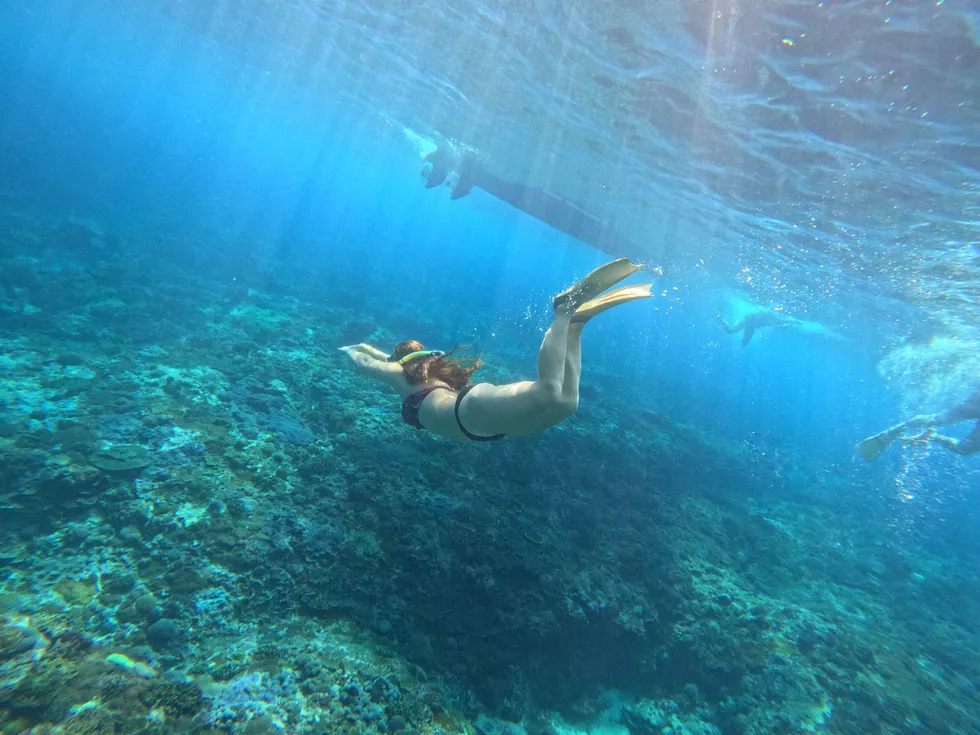 travel program image