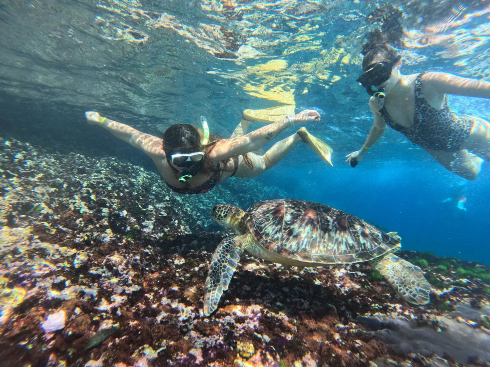 travel program image