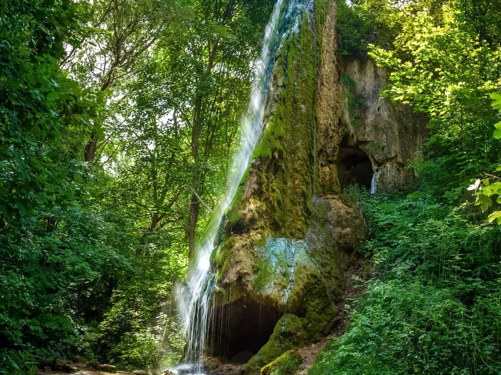 travel program image