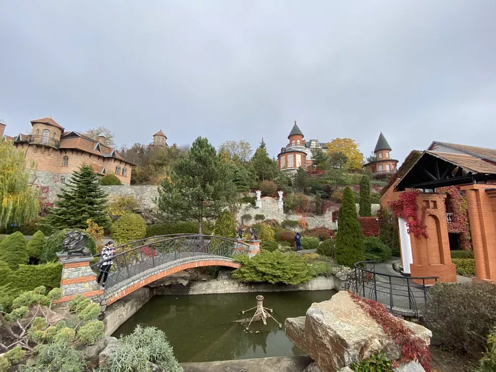 travel program image