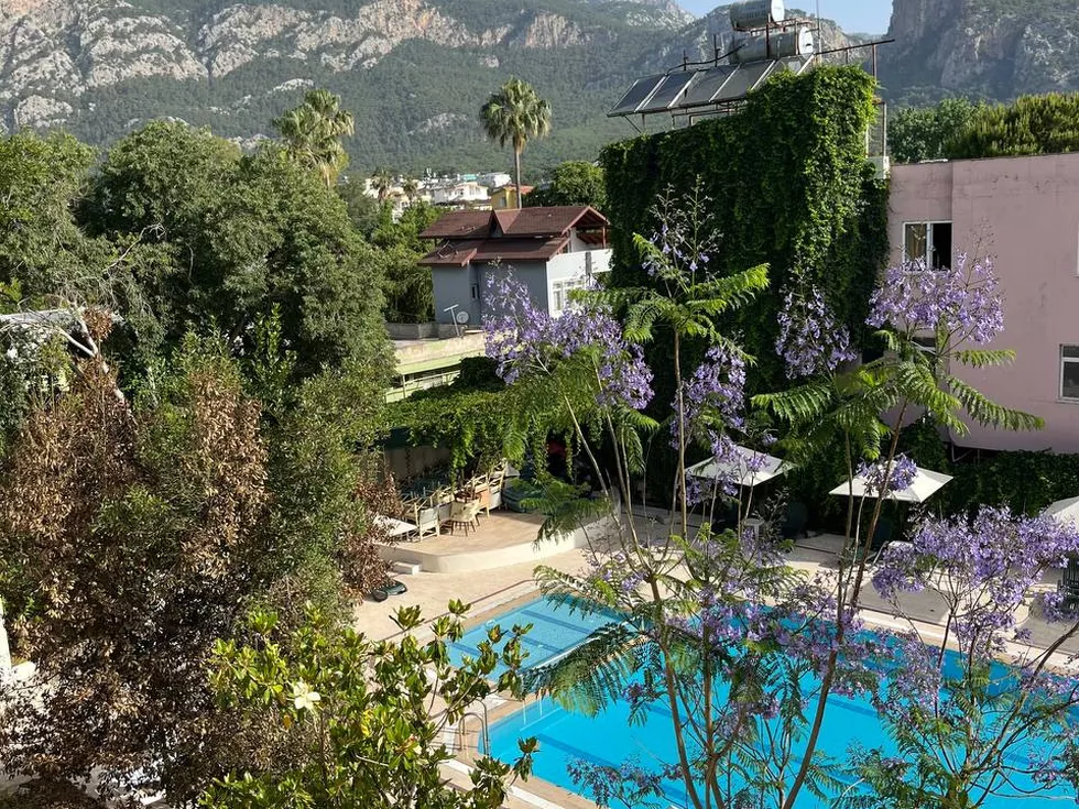 travel program image
