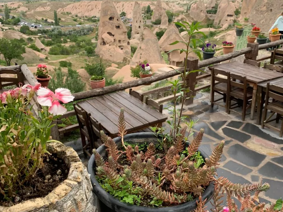 travel program image