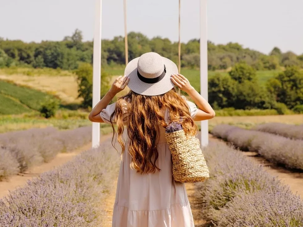 travel program image