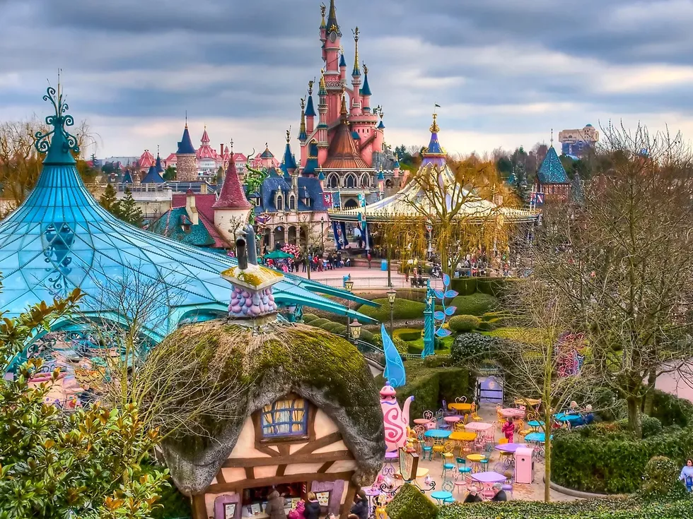 travel program image