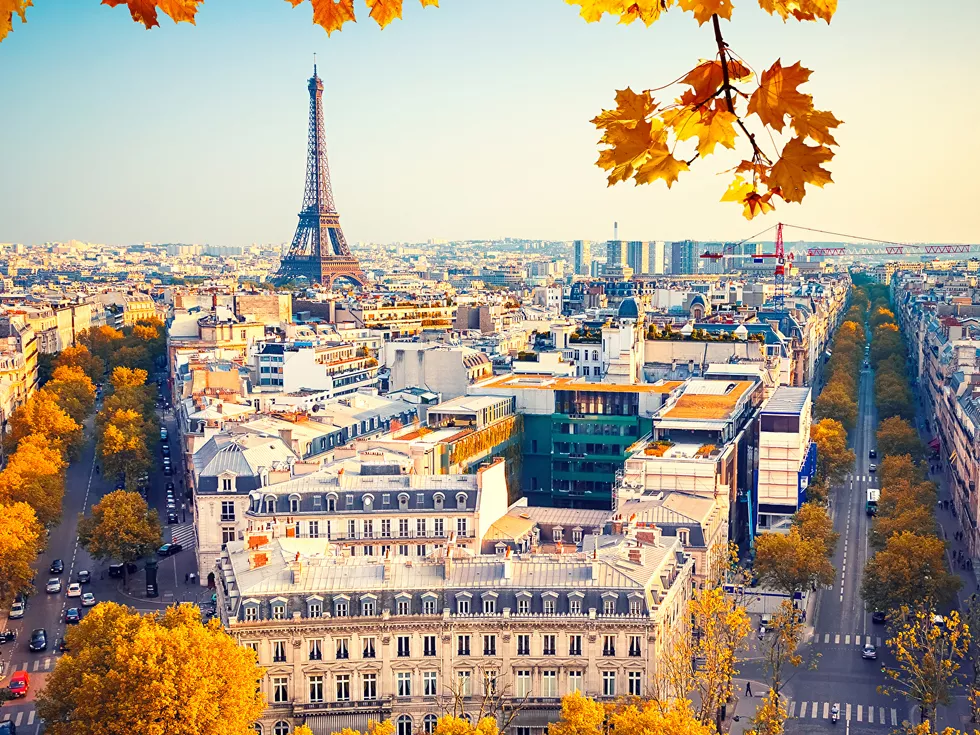 travel program image