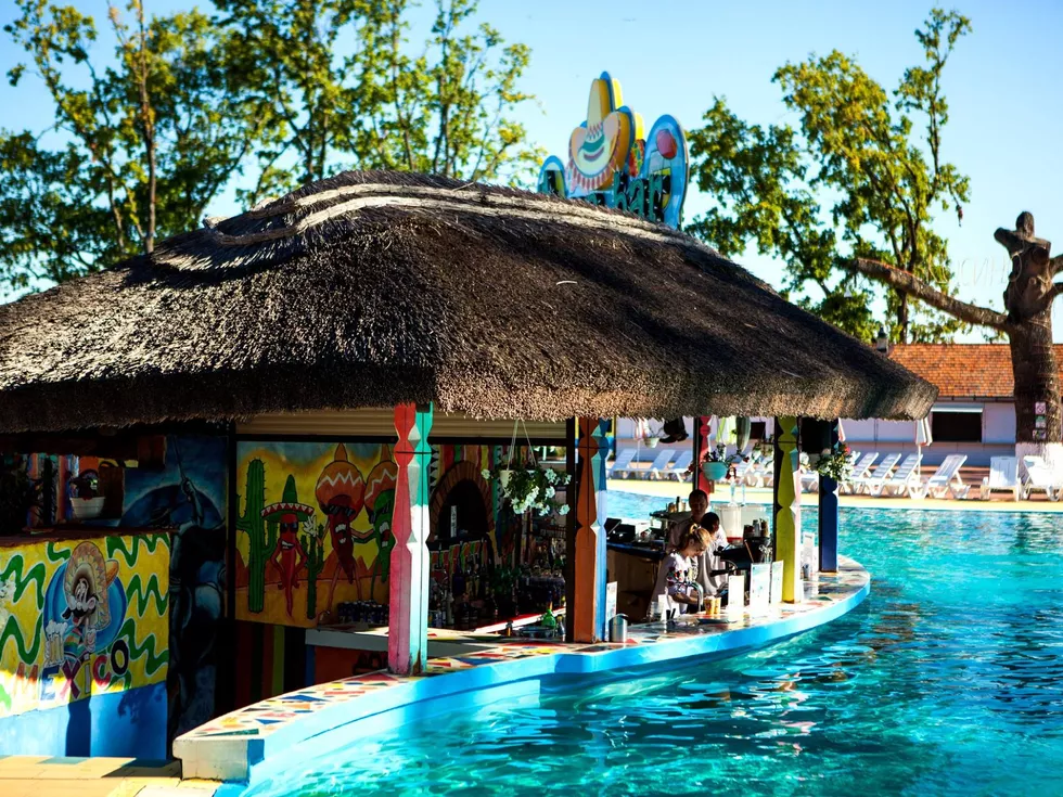 travel program image