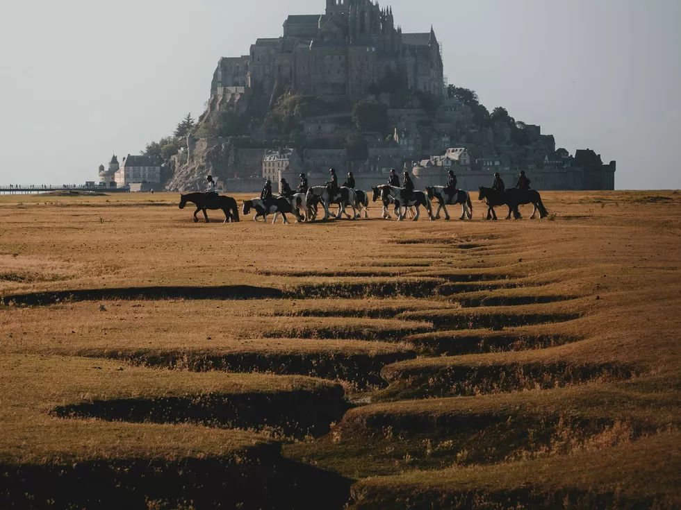 travel program image