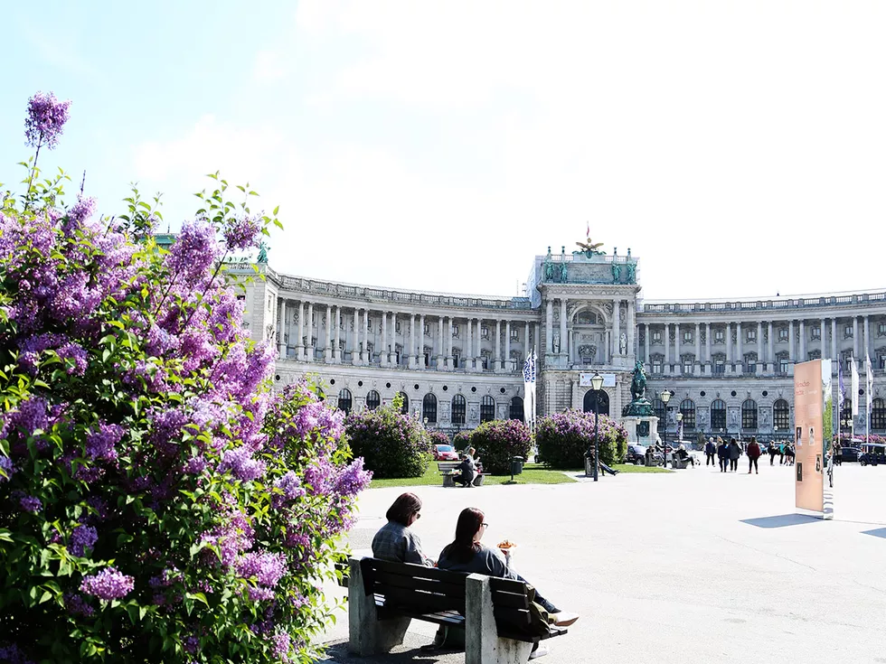travel program image