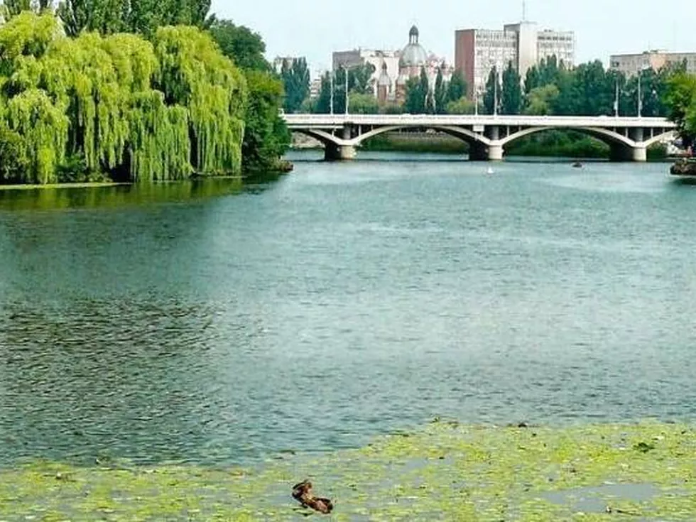 travel program image