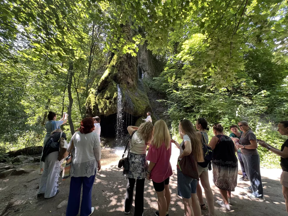 travel program image