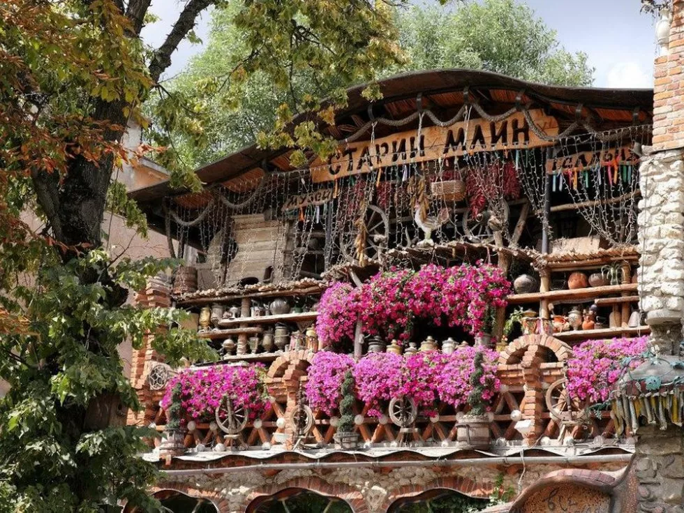 travel program image