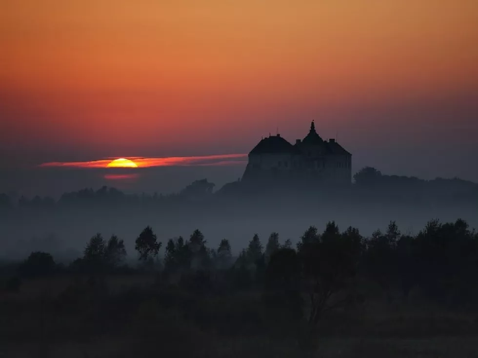 travel program image