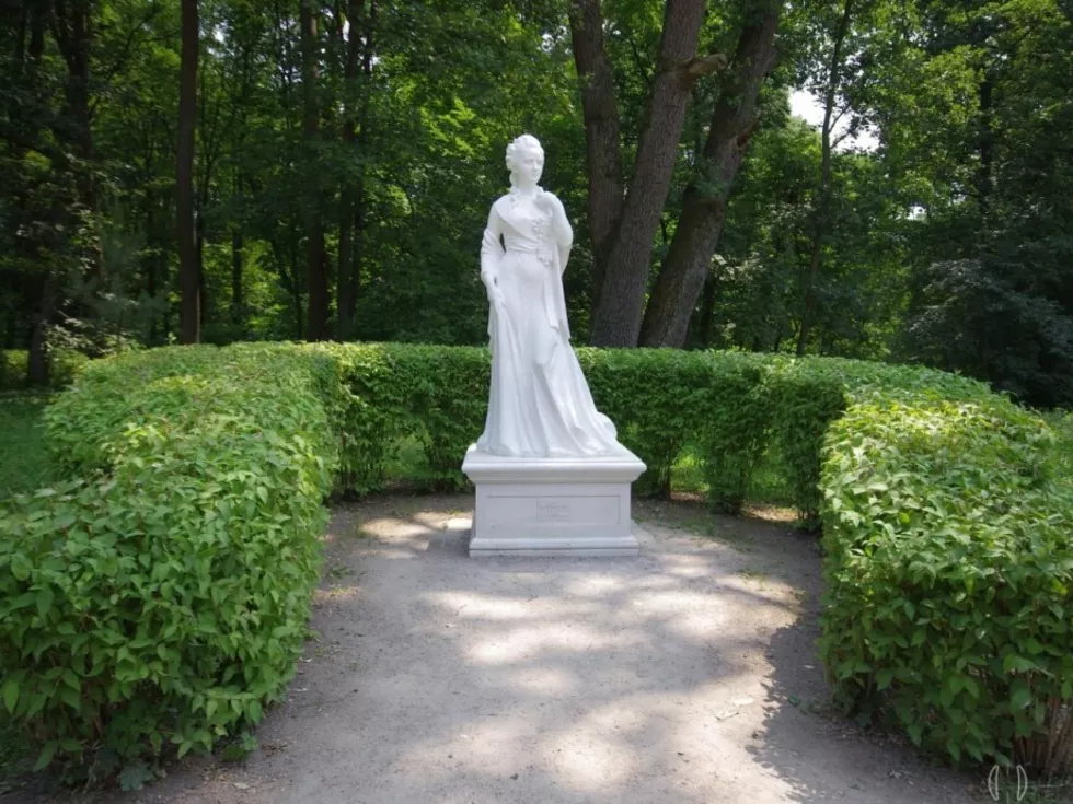 travel program image