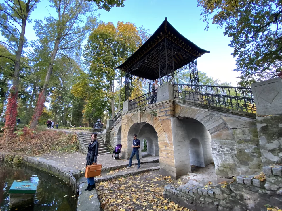 travel program image