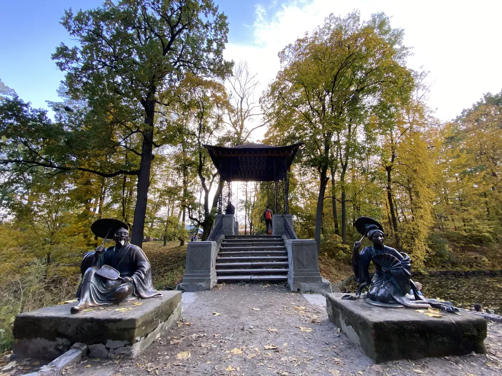 travel program image
