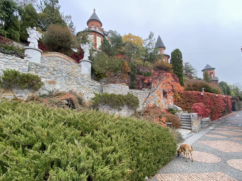 travel program image