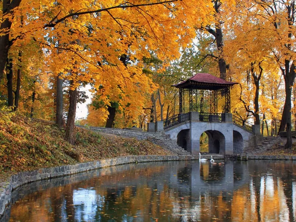 travel program image