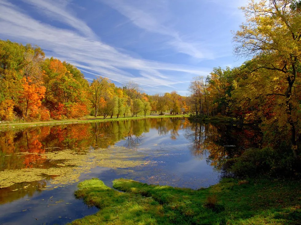 travel program image