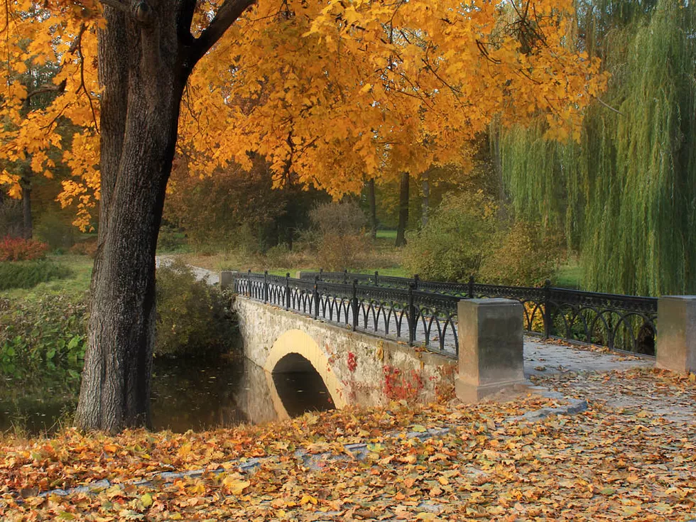 travel program image