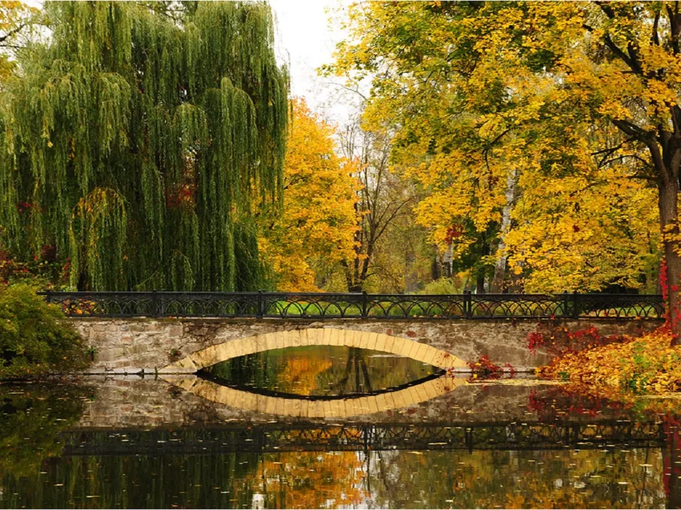 travel program image