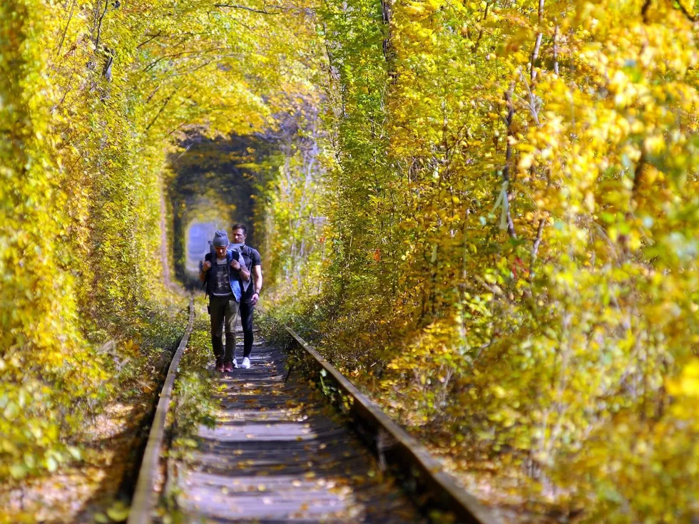 travel program image